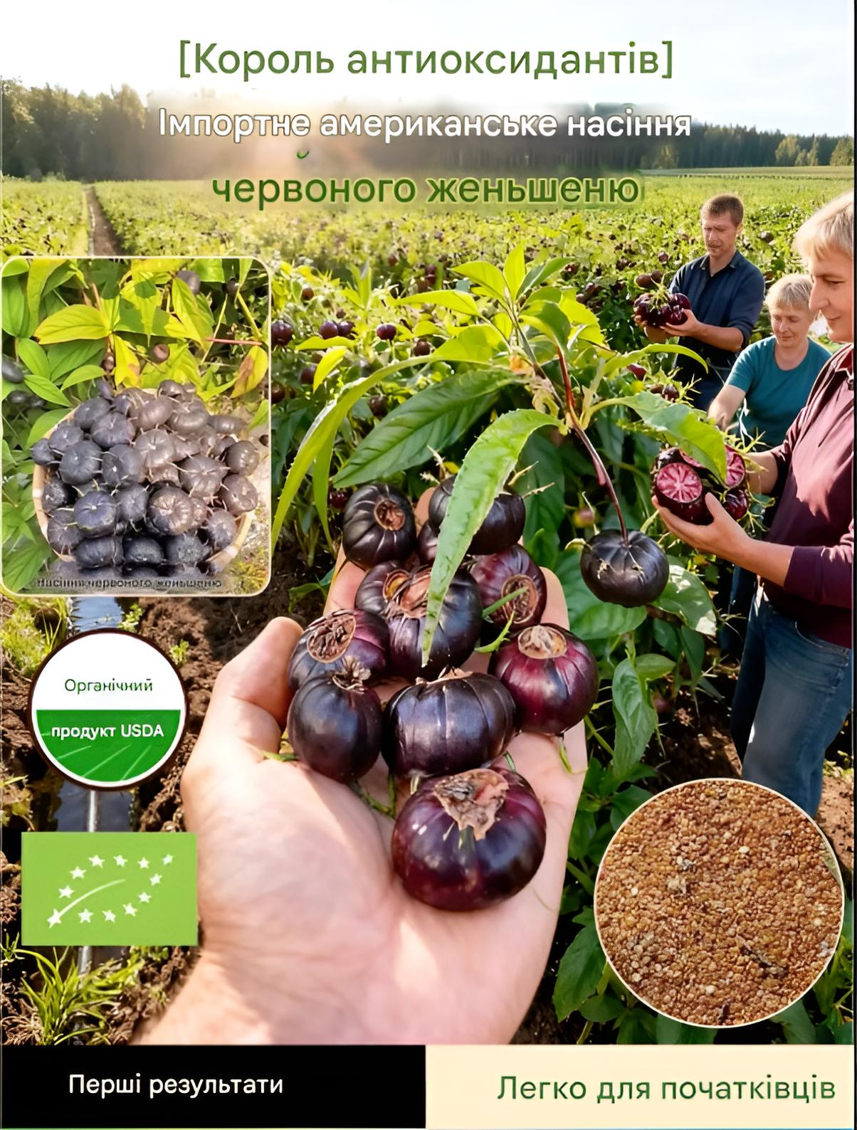Насіння суперягоди з потужними антиоксидантами - виростить вдома без досвіду